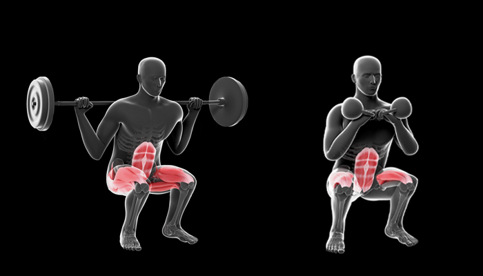 Graphic Displaying Muscles Worked During Squats | Front Squat vs Back Squat